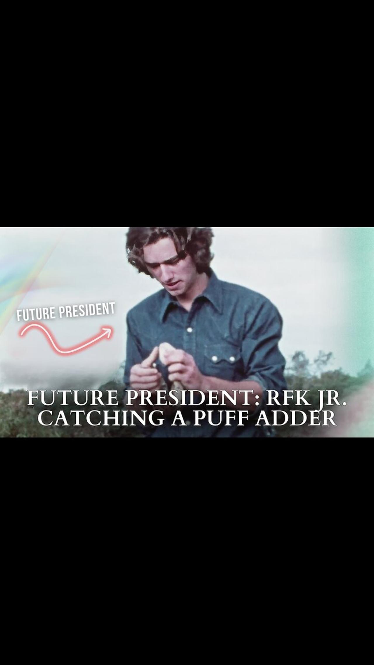 Future President: RFK Jr. Catching A Puff Adder