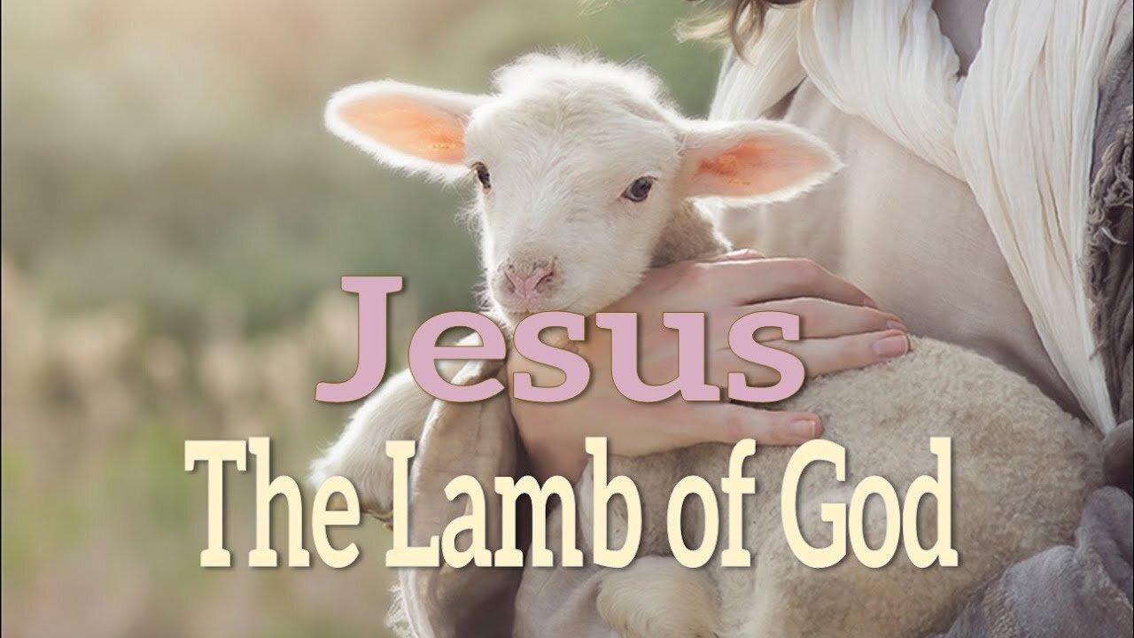 The Lamb of God- John 3:16 C.M. Thursday Night in the Word LIVE Stream 3/28/2024