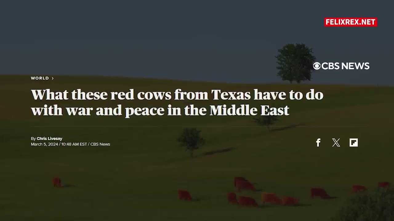 Israel's RED COW: Engineering the APOCALYPSE - I just got this confirmed by real historians