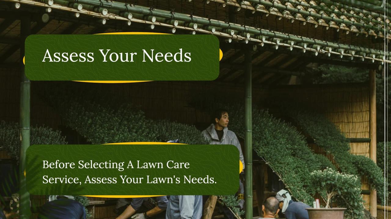 Lawn Care Worcester MA One News Page VIDEO