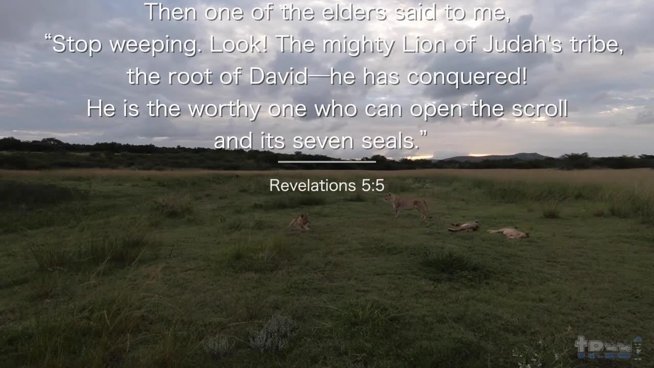 ***The Lion Sunset - Good Friday Easter - Scripture Video Screen Saver - With Sound***