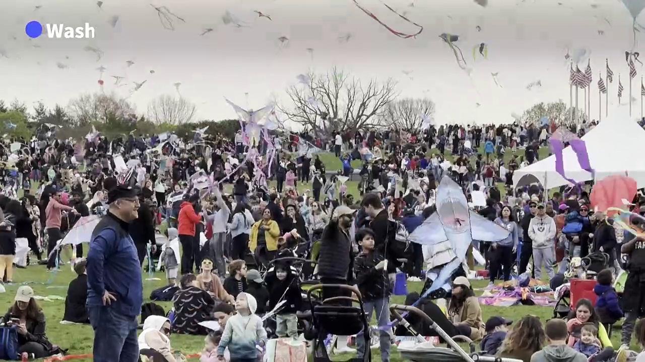 Kites dot the sky in US capital for Cherry Blossom Festival