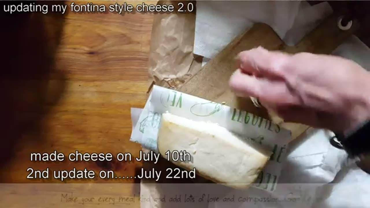 UPDATE 1 and 2 ON VEGAN FONTINA CHEESE 2.0 POSSIBLE BRIE VLOG  Connie's RAWsome kitchen