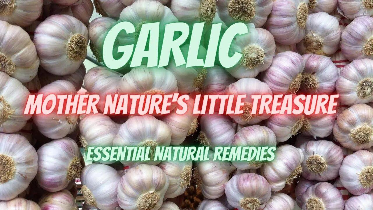 Garlic - Mother Natures' Little Treasure