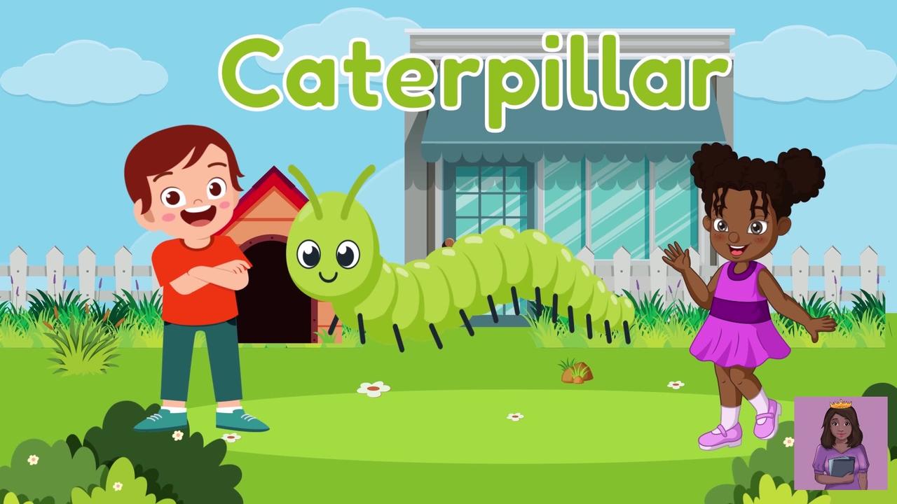 Let's Learn About Insects Educational Video For Kids