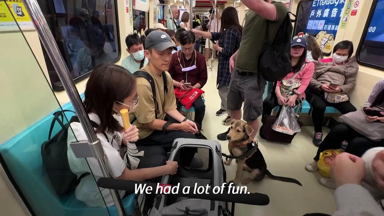 Taipei metro runs special pet-friendly trains