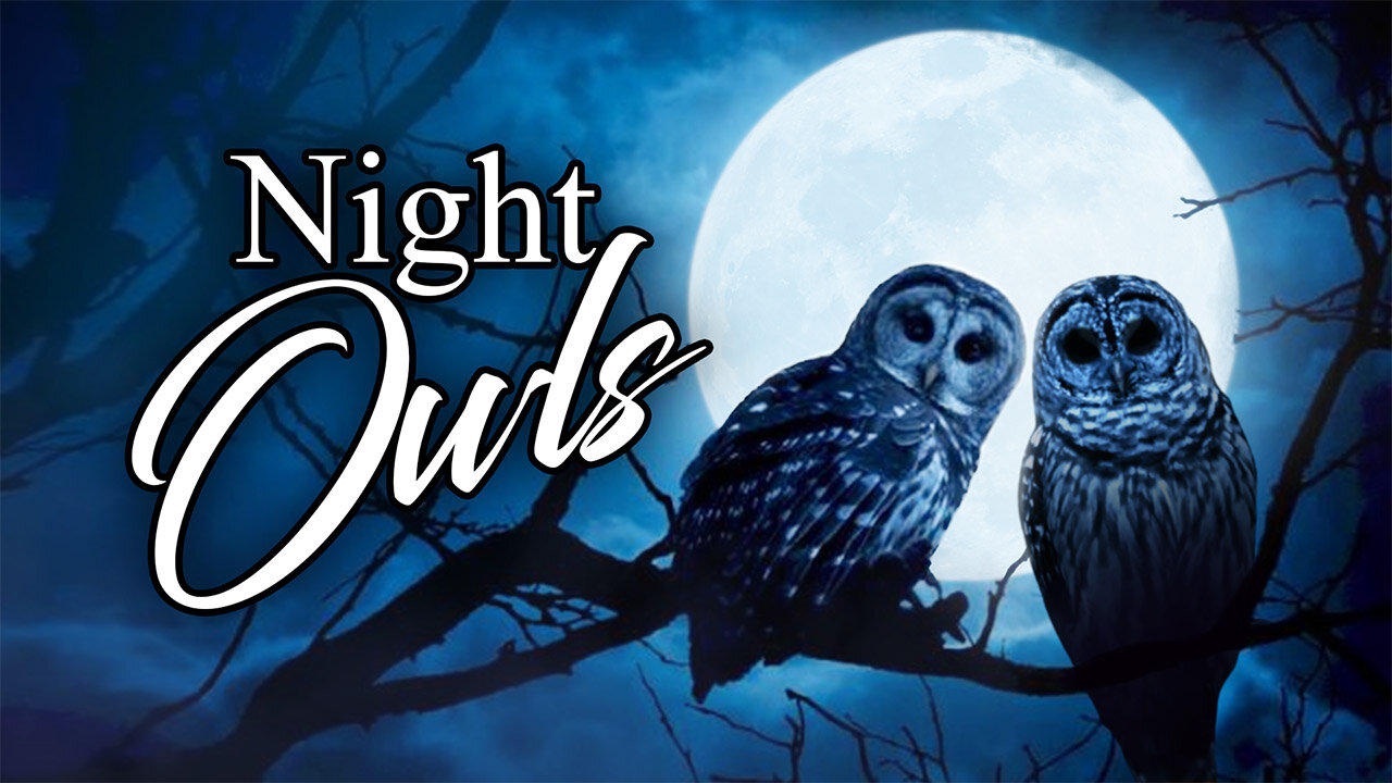 Night Owls - Sunday, March 31