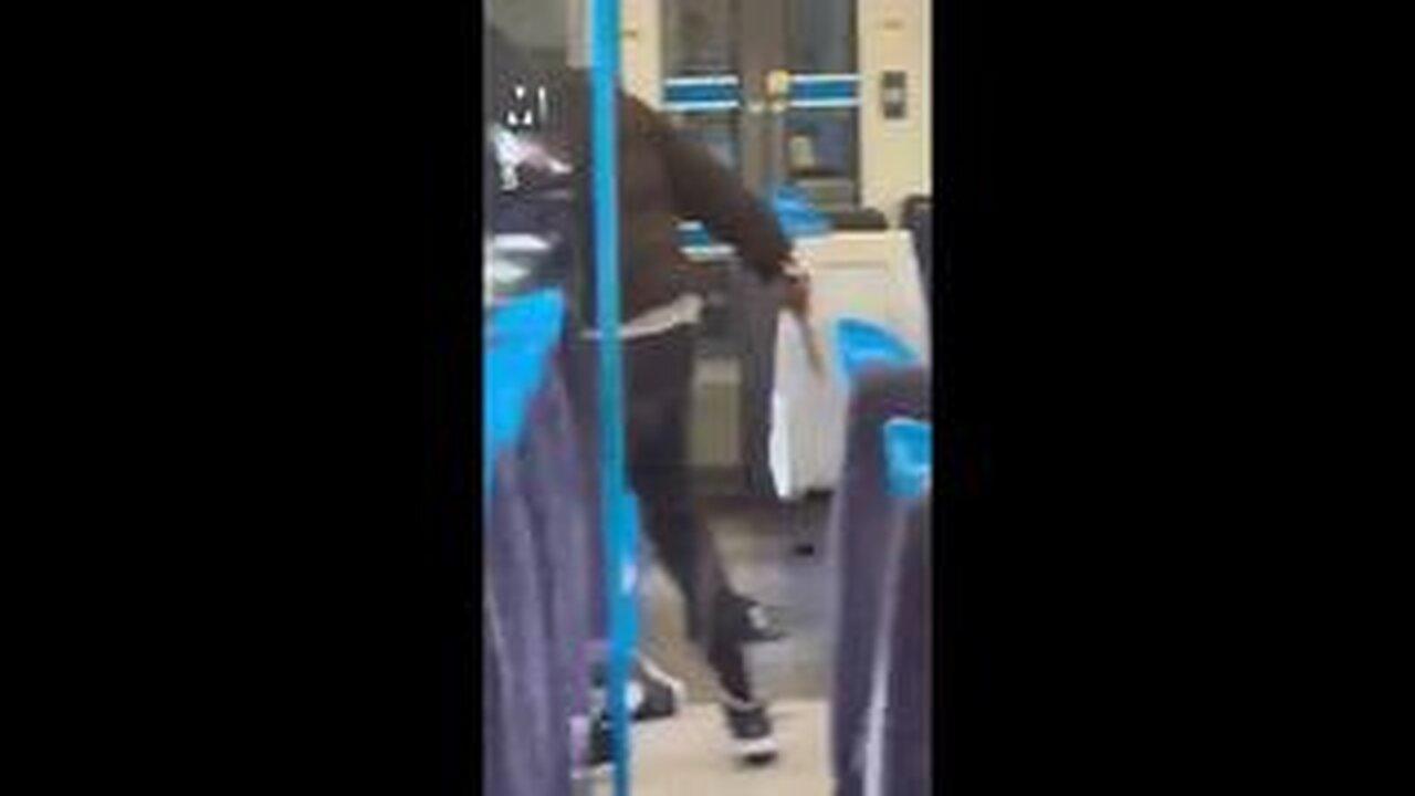Beckenham London UK Train Brutal Stabbing Brought to You by Cultural Enrichment