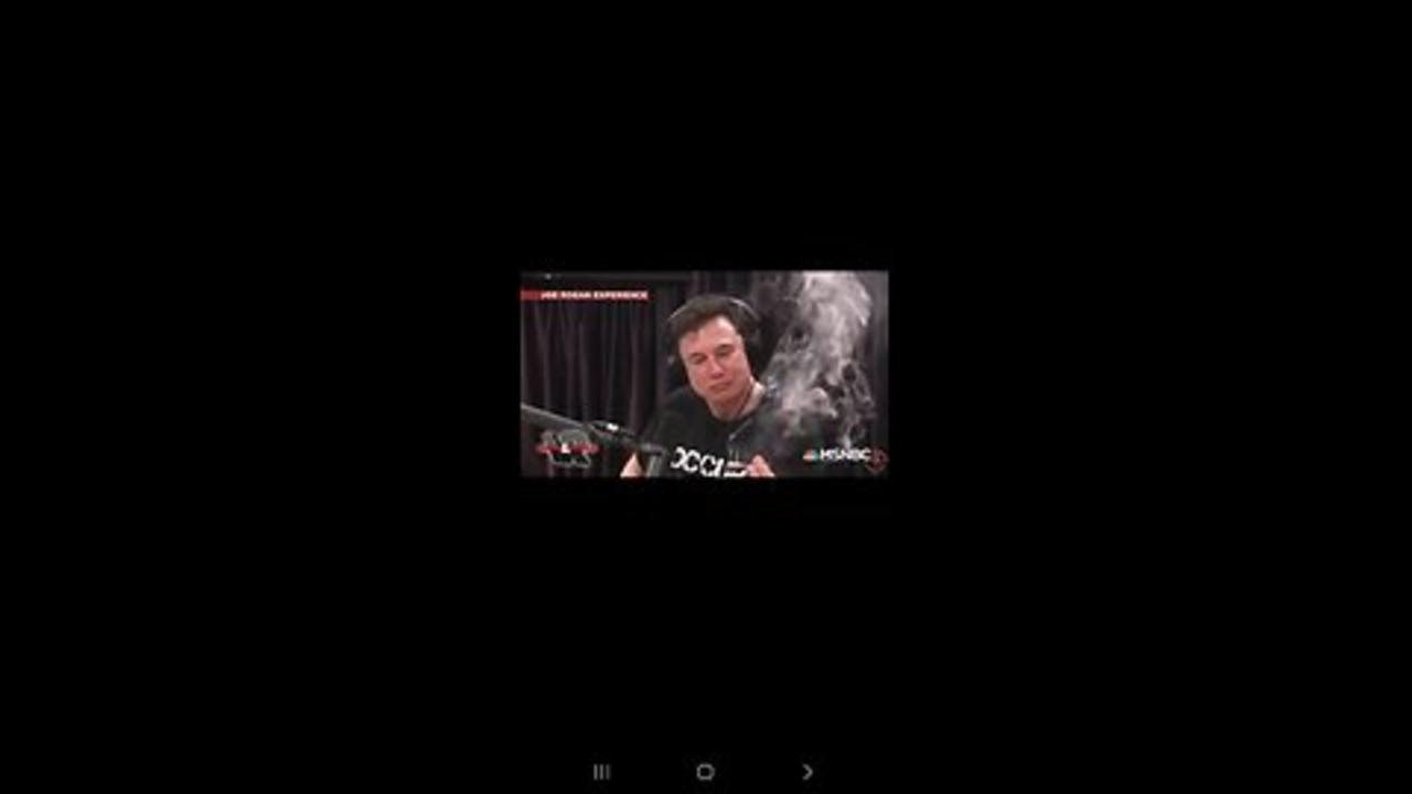 Bilioner "Elon Musk" Smokes Weed