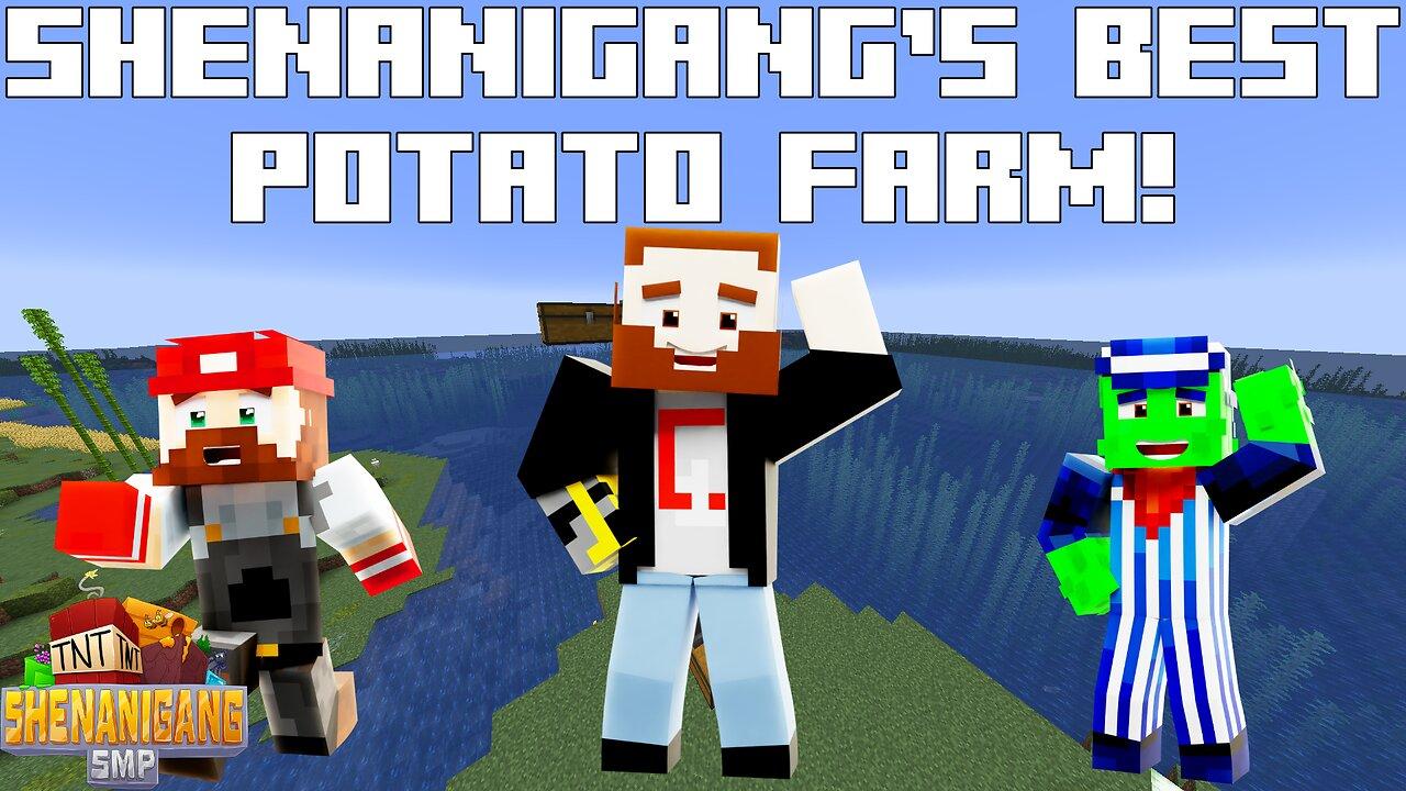 THE BEST POTATO FARM ON THE SHENANIGANG SMP! - Shenanigang SMP