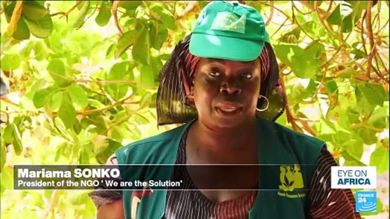 Senegal's women farmers fight for land ownership