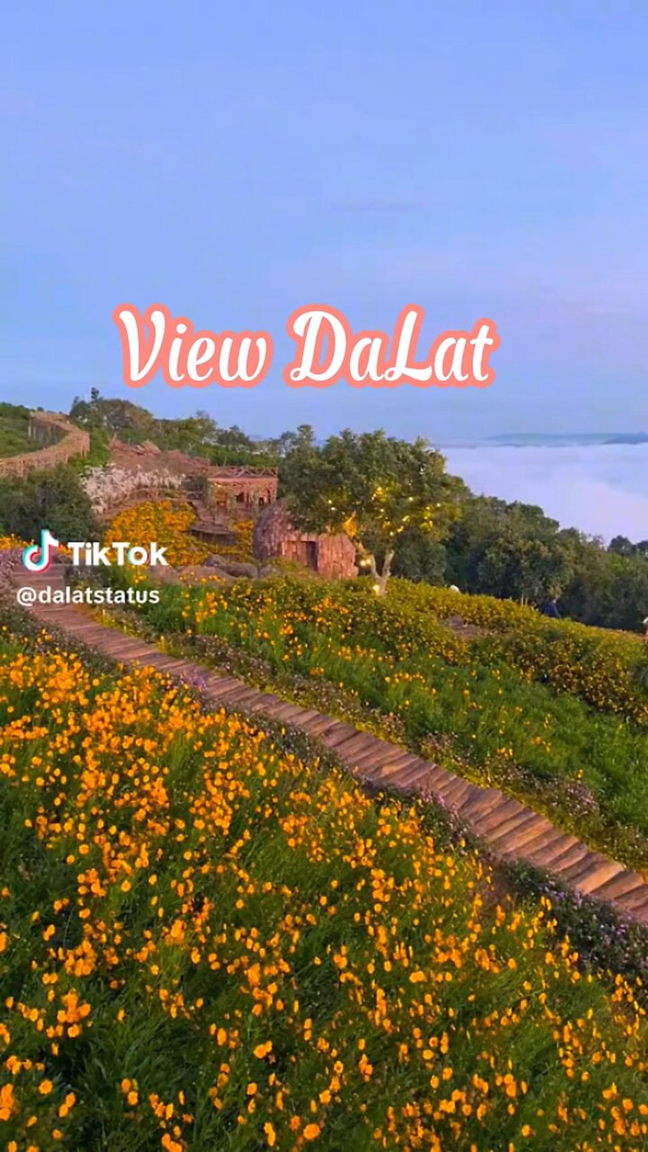 Da Lat, one of the most beautiful view in Viet Nam. Well come to Viet Nam 😘