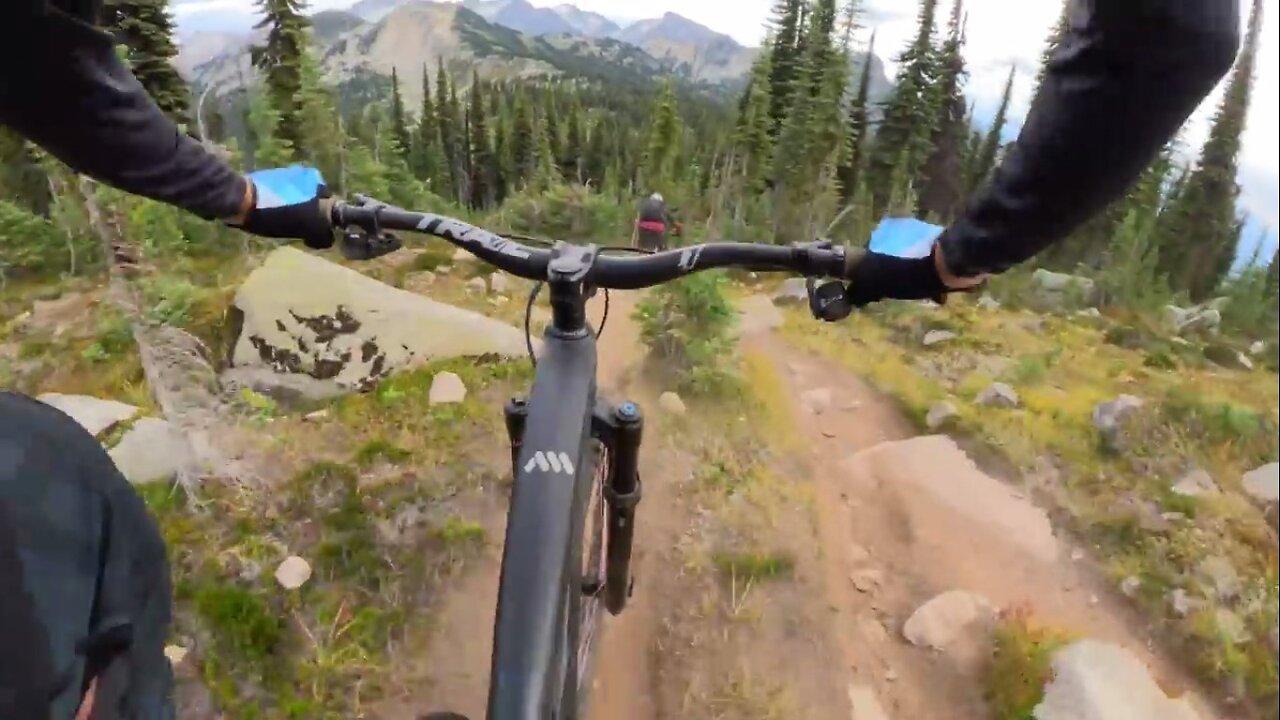 THIS is the trail I’ve been waiting for 🤯 Martha Creek, Revelstoke B.C.
