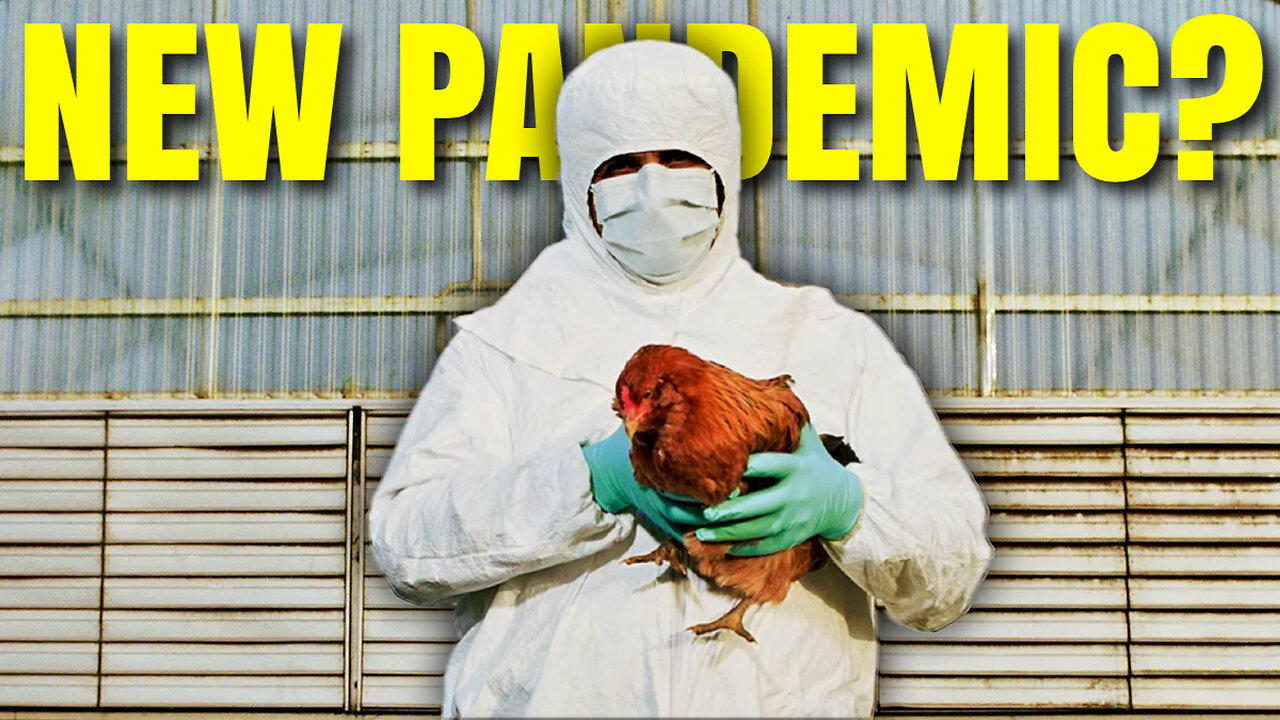 Is a Bird Flu PANDEMIC on the Way? - Bubba the Love Sponge® Show | 4/4/24