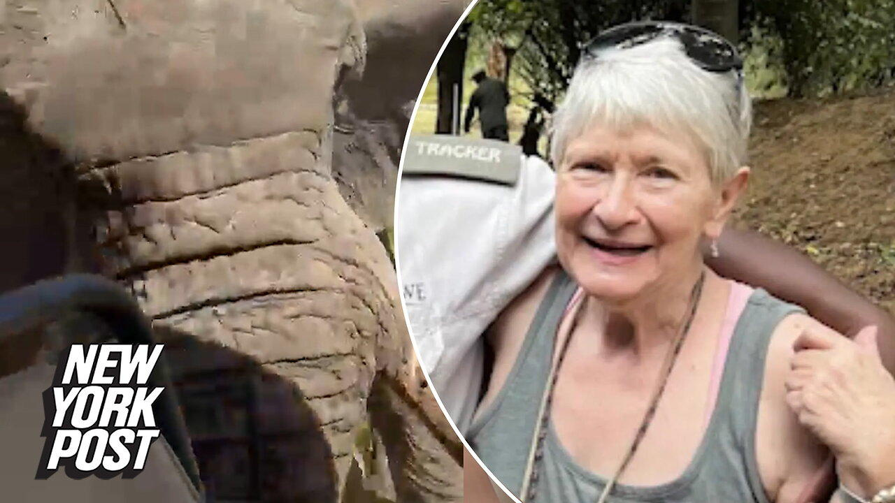 American tourist killed after elephant rammed truck on African safari seen smiling in photos before attack