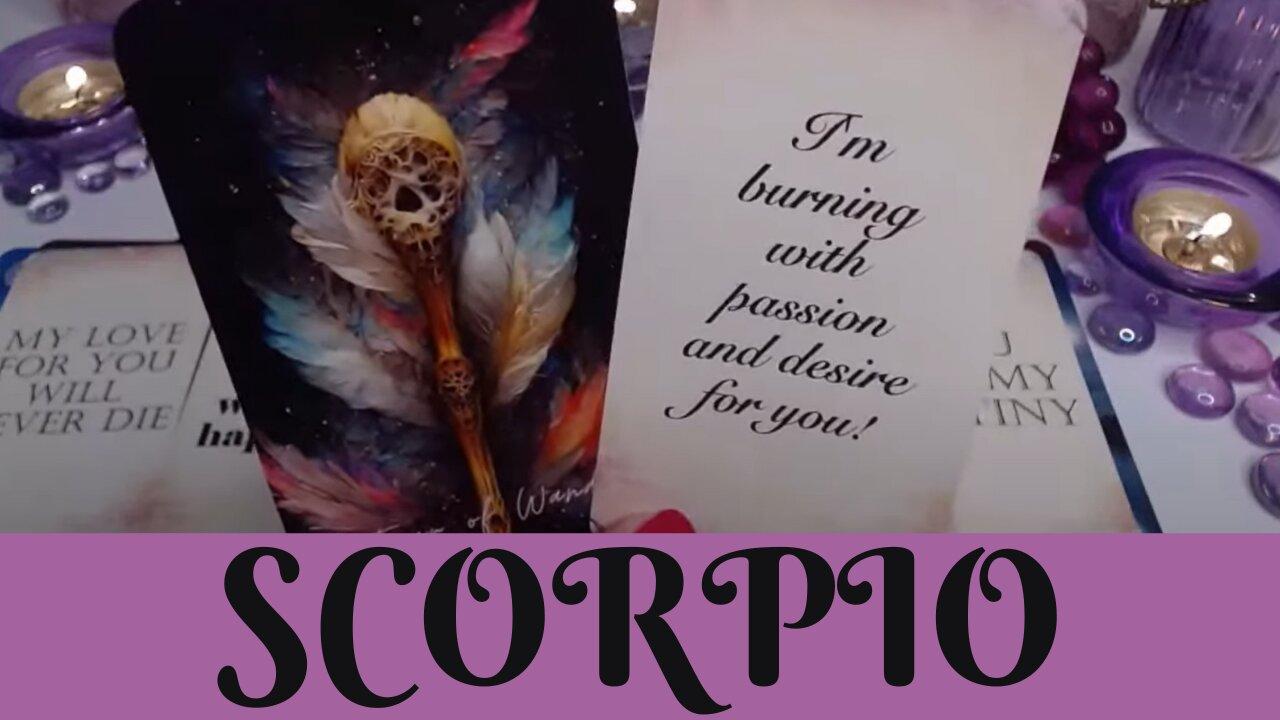 SCORPIO ♏💖NO MORE GAMES💖YOU'VE CAPTURED A PLAYERS ATTENTION & HEART💖SCORPIO LOVE TAROT💝