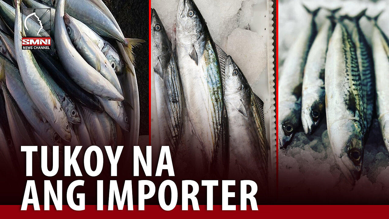 Manufacturers ng sardinas, hindi pa nakikita ang epekto sa planong import ban sa mackerel ng DA