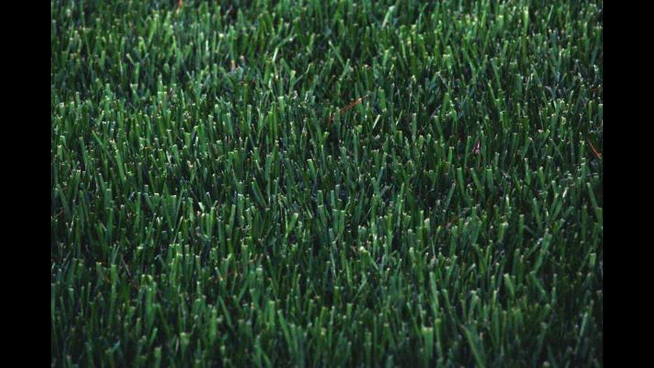 2024-lawn-mowing-cost-bid-one-news-page-video