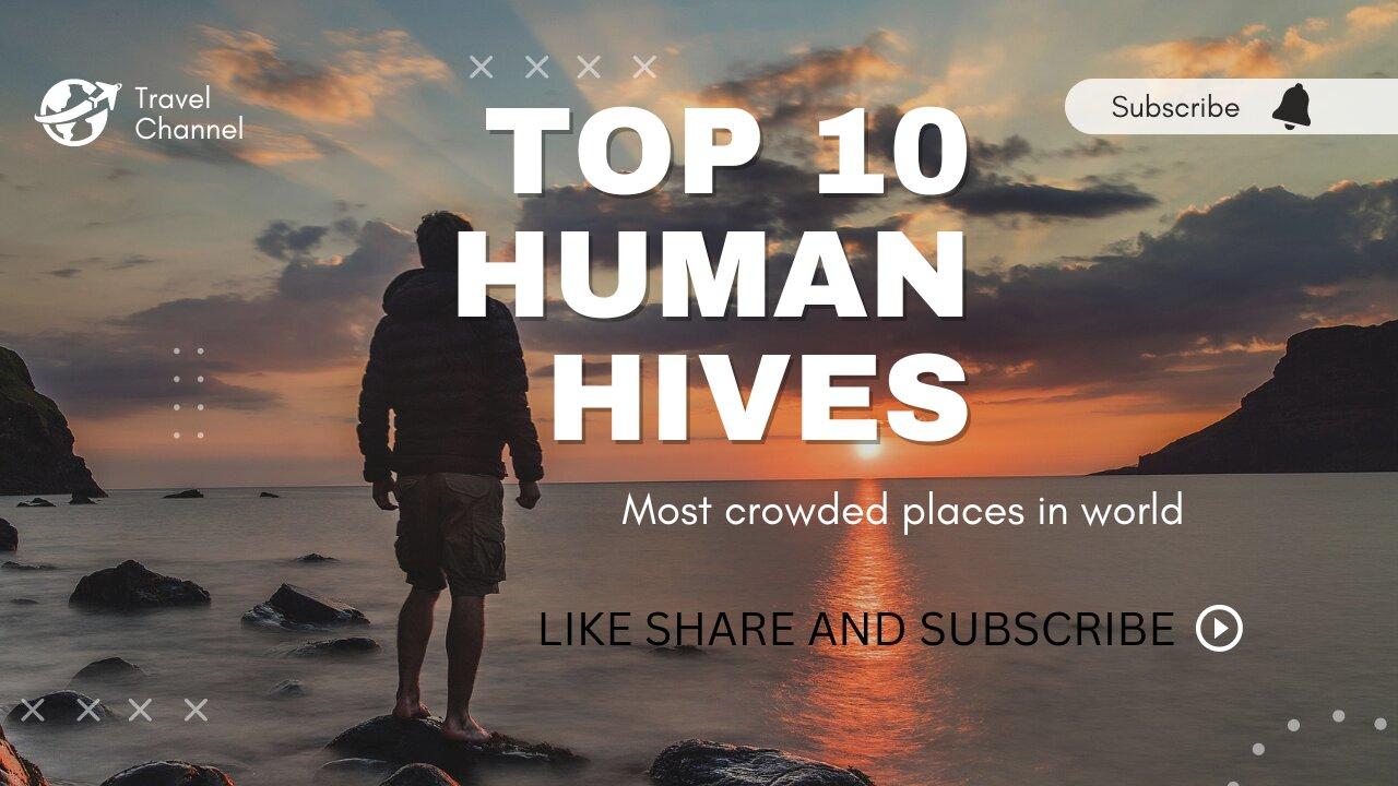 Top 10 Human Hives