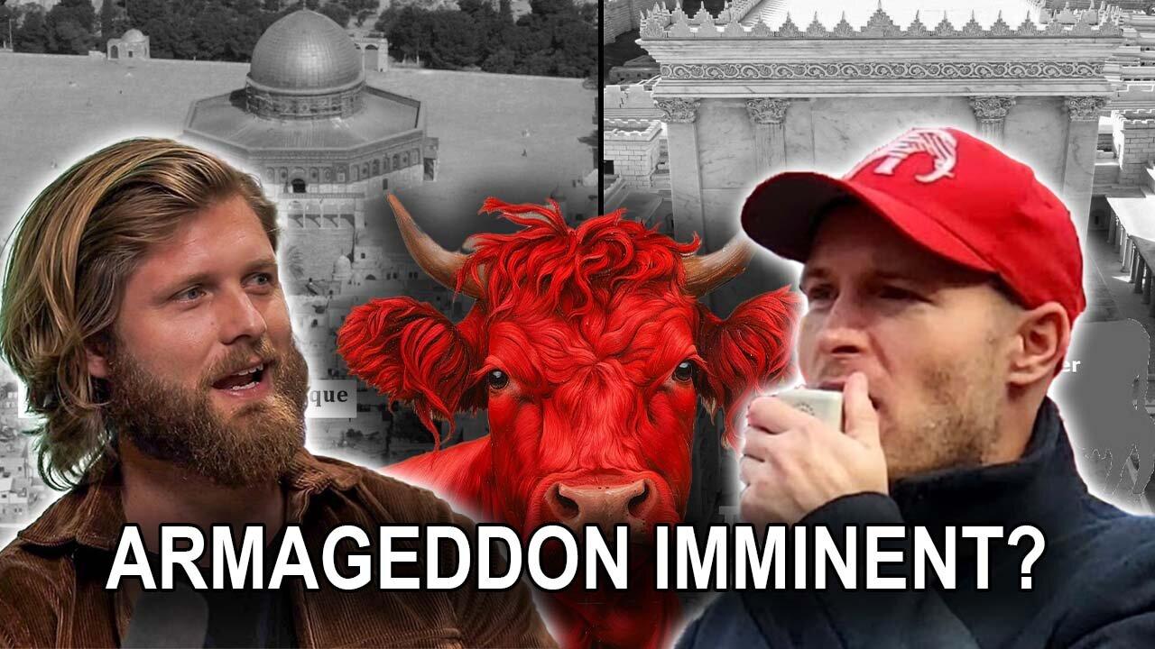 LIVE SHOW: Filmmaker Discusses the Red Heifer Armageddon Sacrifice and How People Can Stop it