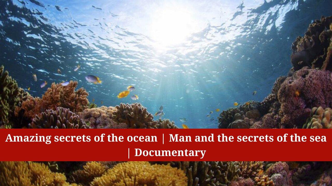 Amazing secrets of the ocean | Man and the secrets of the sea | Documentary