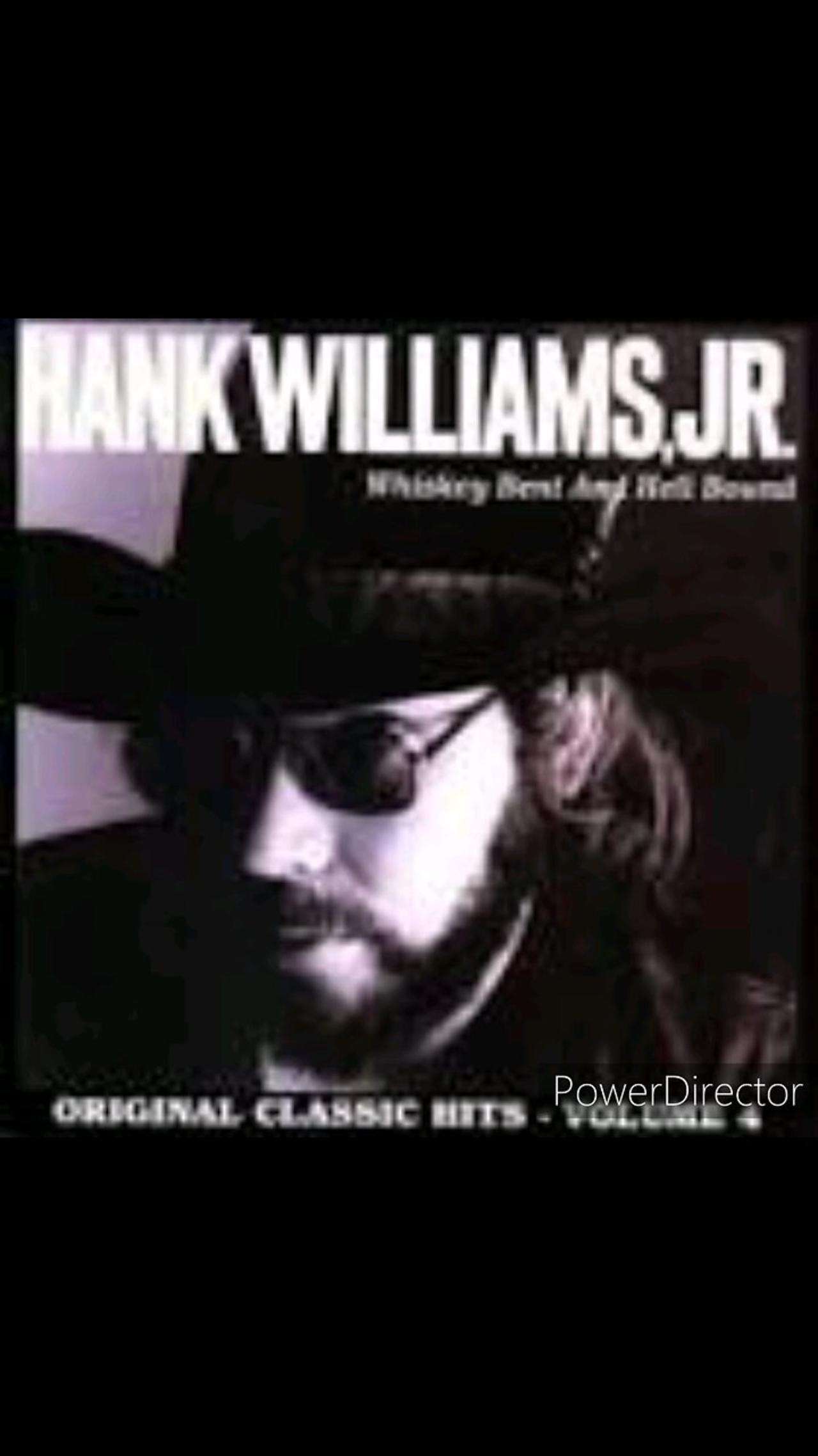 Hank Williams Jr-The American Way