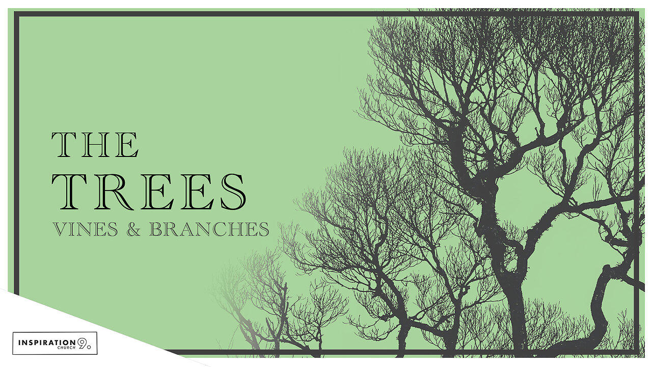 Tree Series: Vines & Branches // April 7, 2024