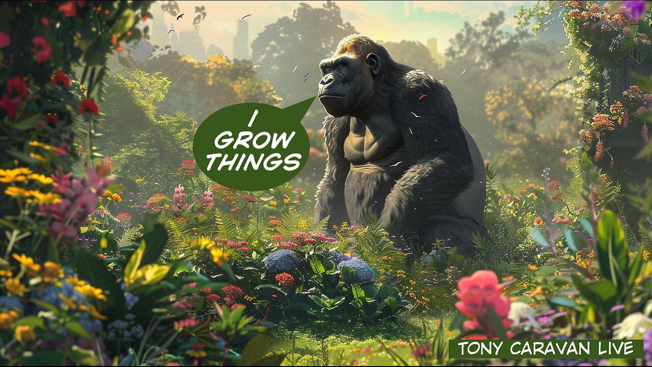 April 8, 2024 - Gorilla Gardening; Survival