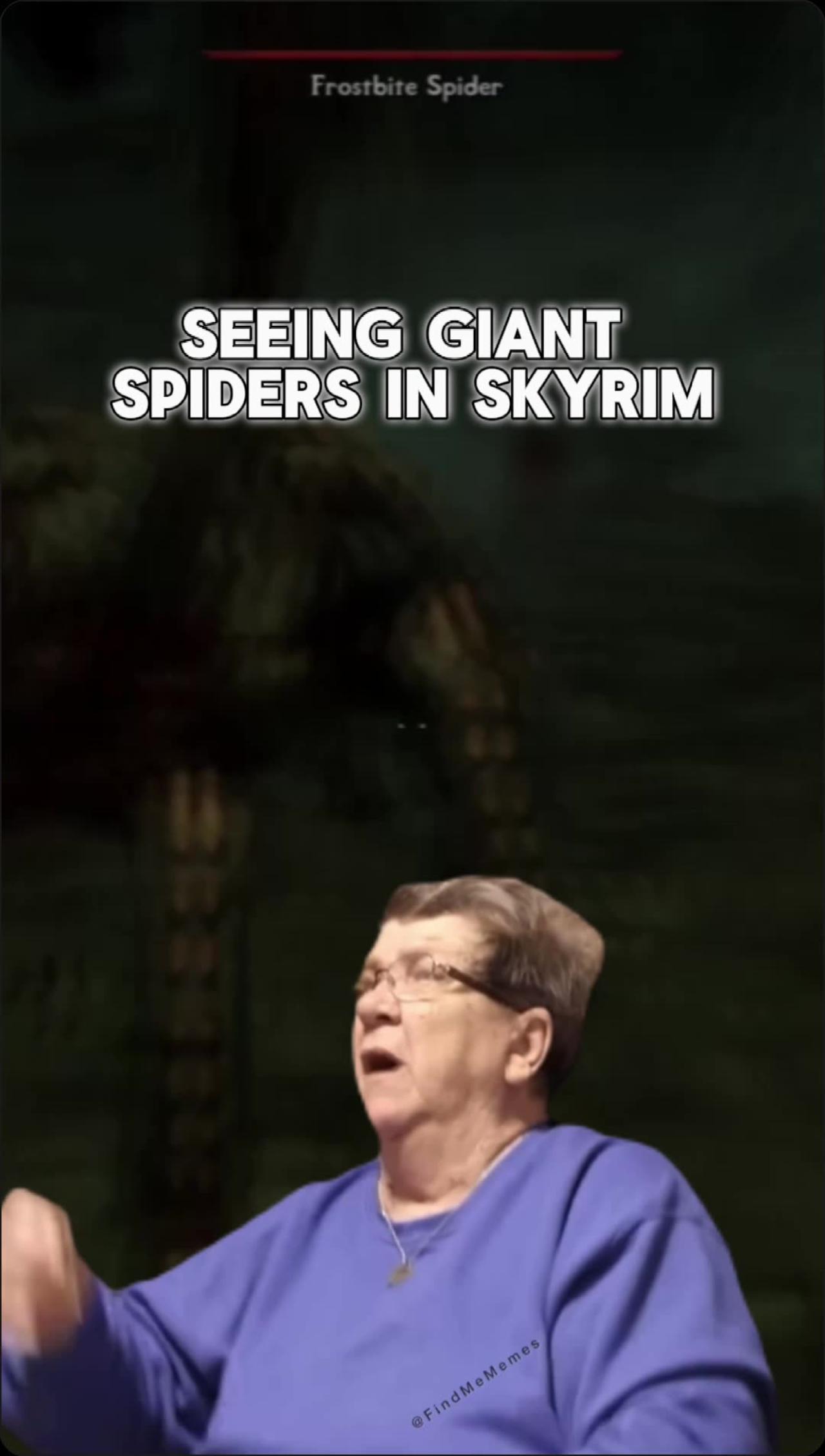 Seeing giant spiders in Skyrim