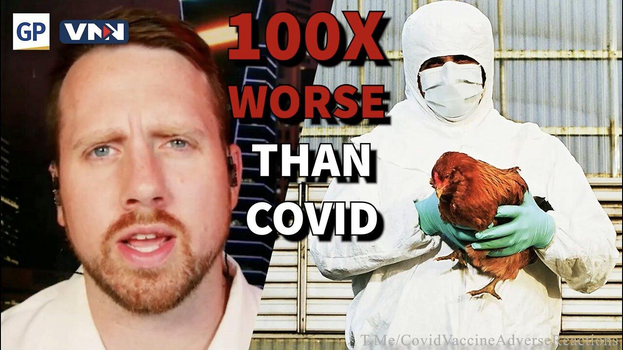 Scientists Warn Bird Flu Pandemic Could Be ‘100 Times Worse’ Than COVID-19