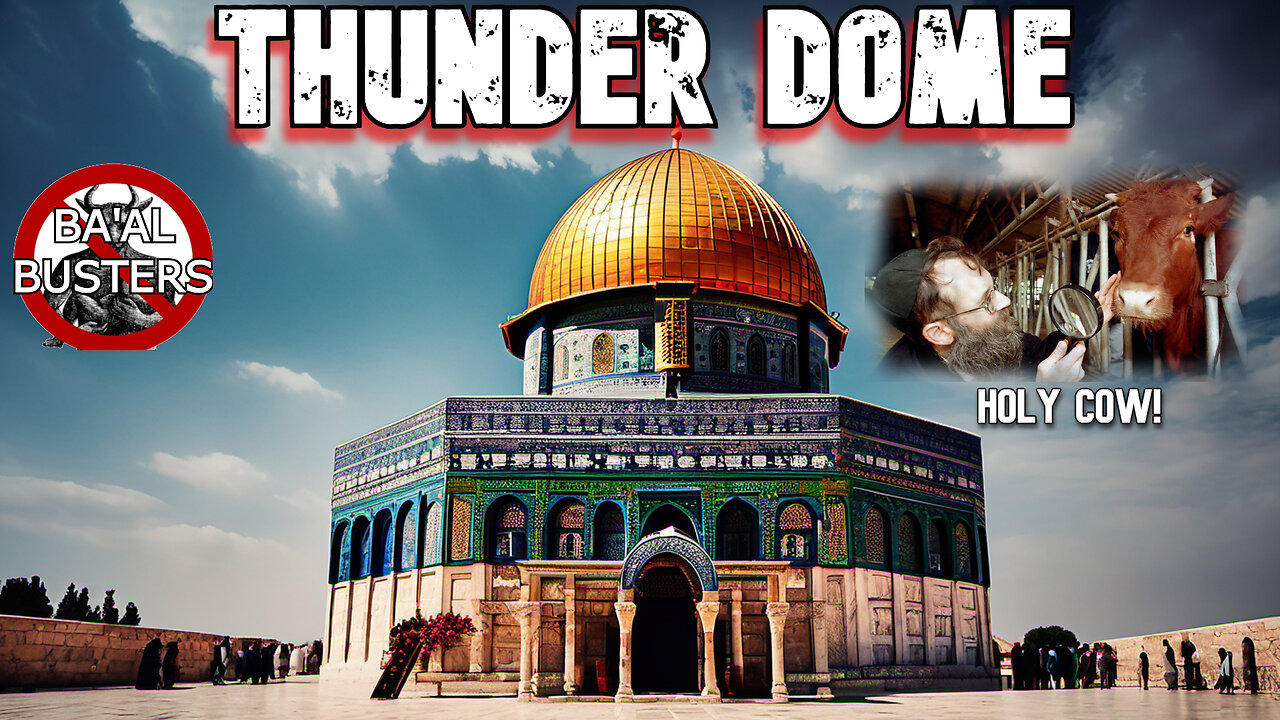 Thunder Dome and the Coming Passover: Why are Cows Scared of Israelis?