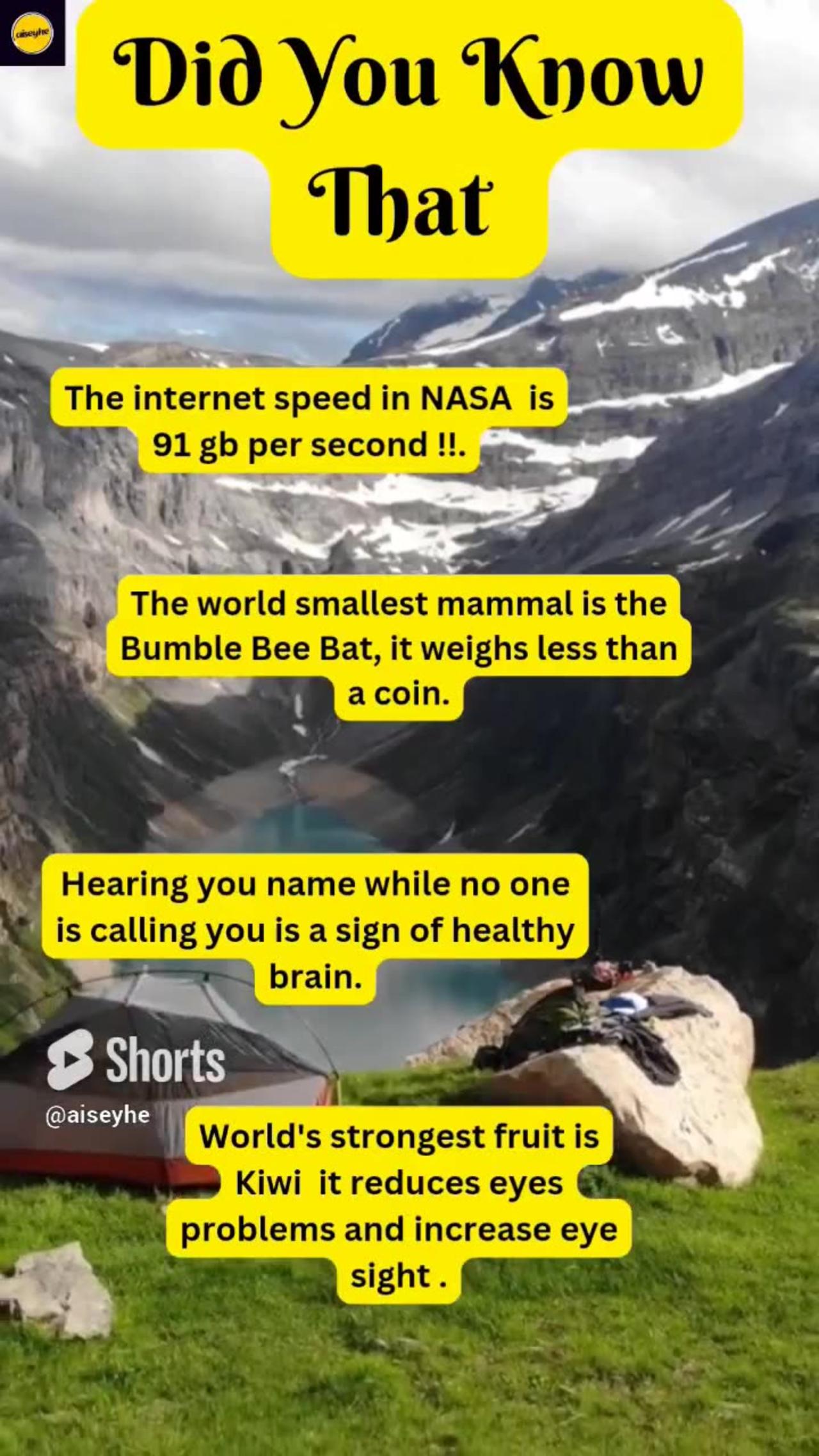 DID YOU KNOW THAT - One News Page VIDEO