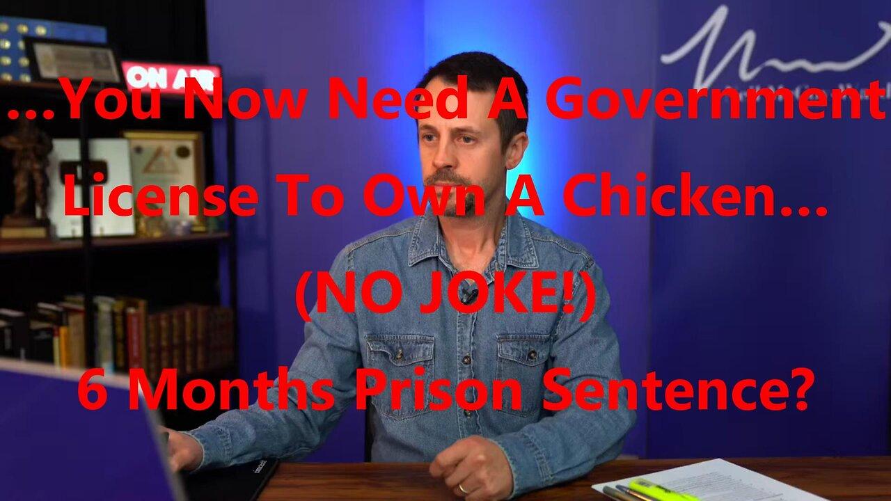 …You Now Need A Government License To Own A Chicken… (NO JOKE!) 6 Months Prison Sentence?