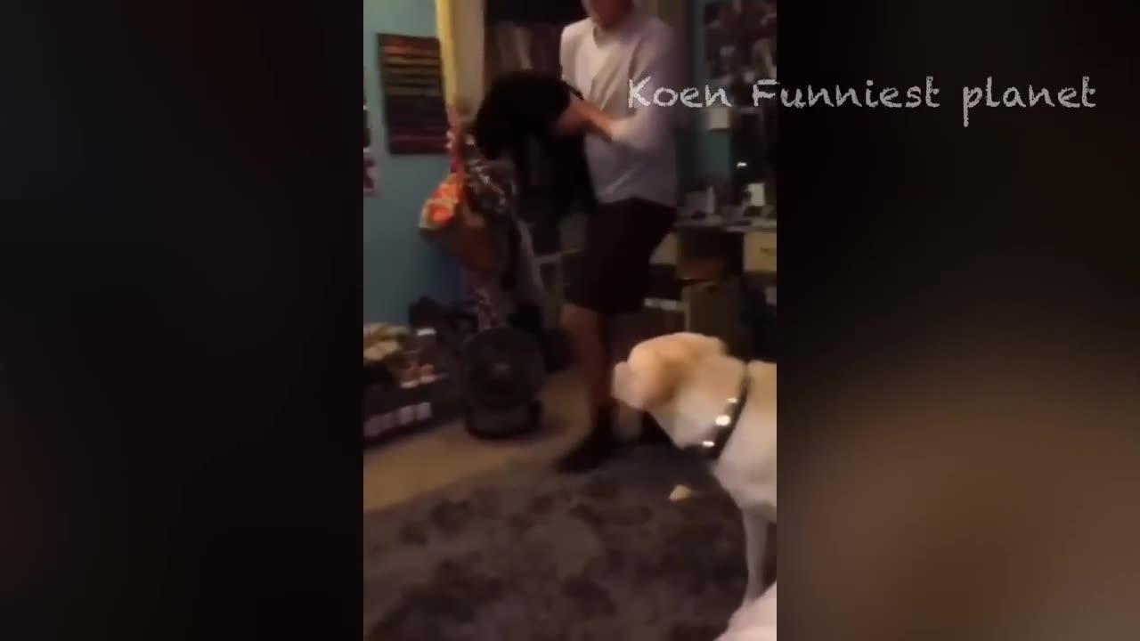 Funny 😂😂 cat and dog videos 2024