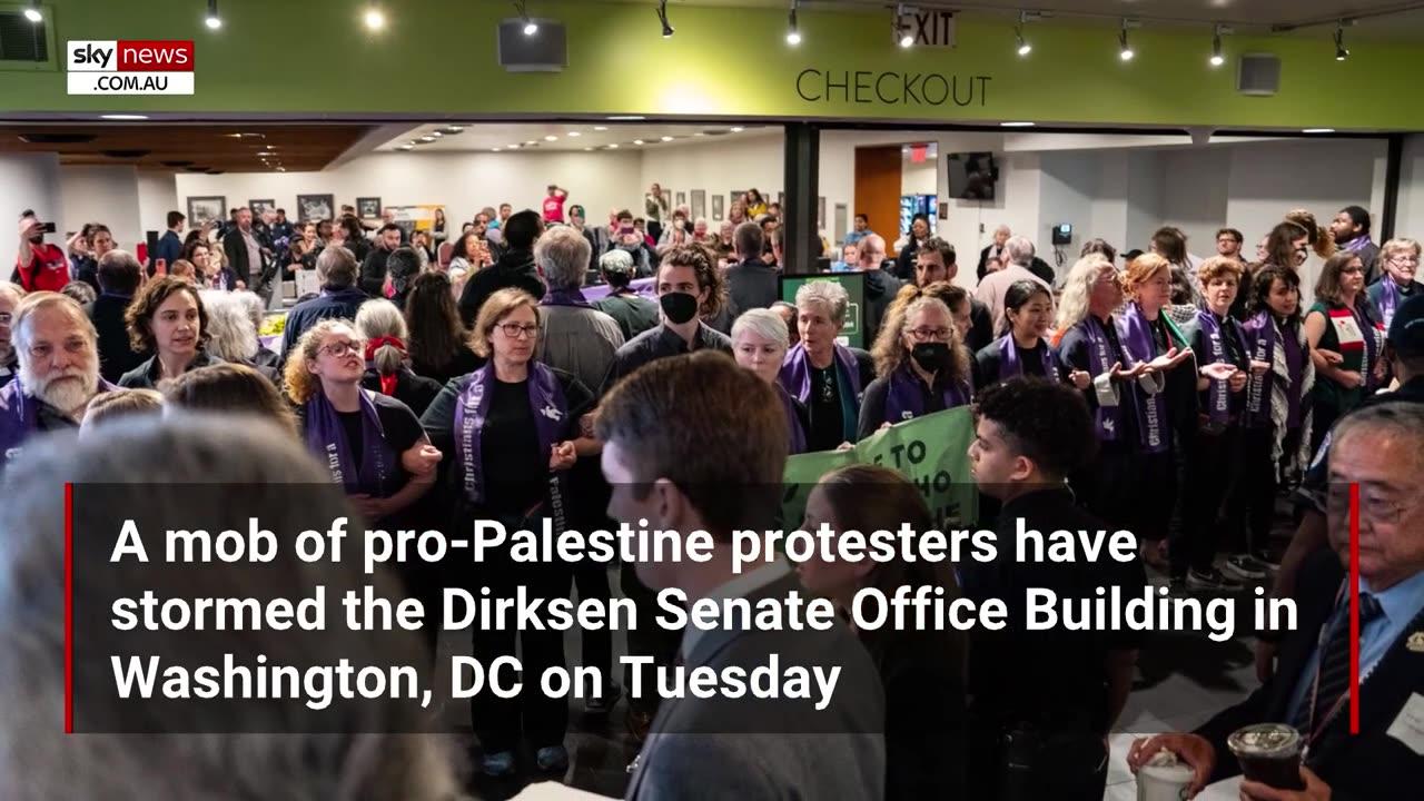 ***Watch as pro-Palestine protesters storm US Senate office building***