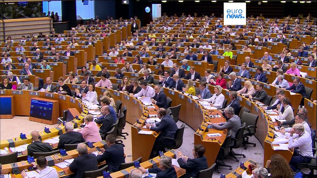 MEPs vote to rescind von der Leyen’s controversial SME envoy pick