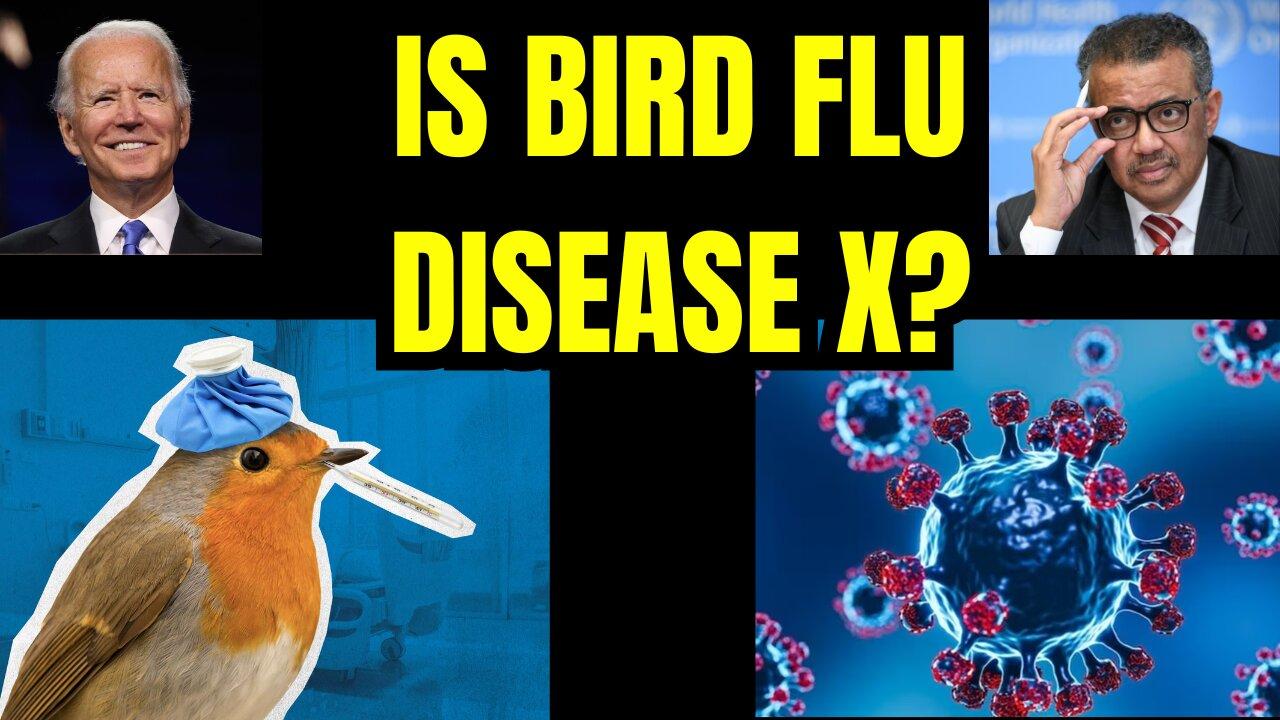 Is Bird Flu Really Disease X!? (What The Deep State's Planning...)