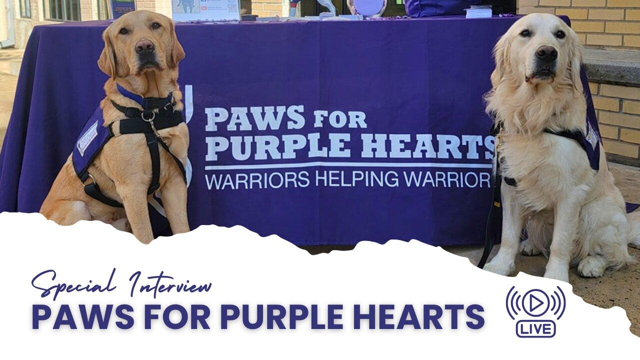 Interview with Erica & Dani from Paws for Purple Hearts