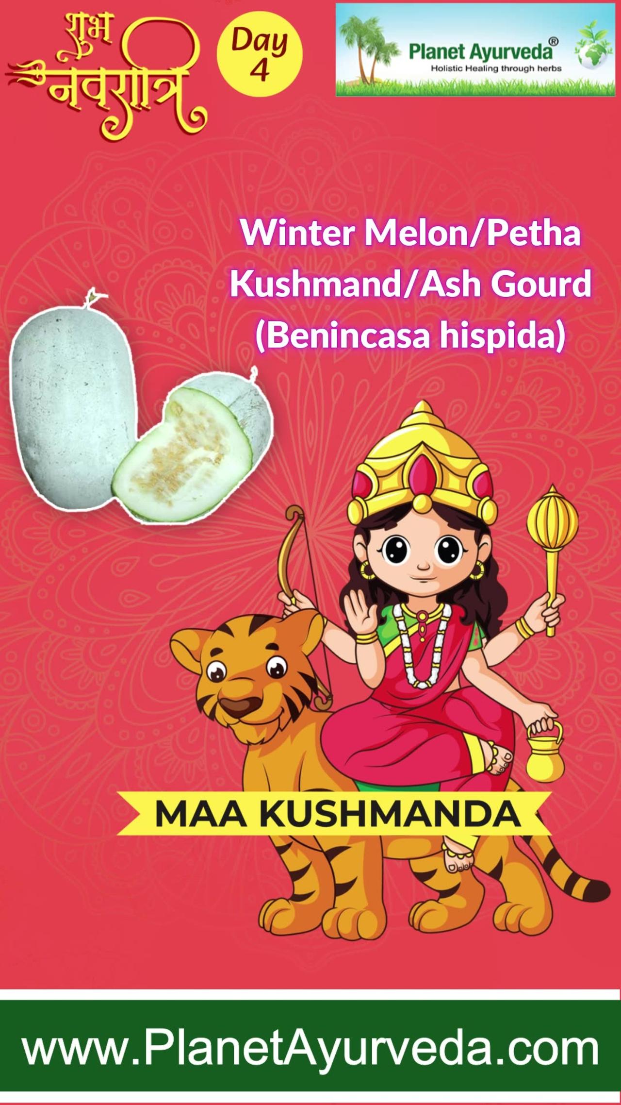 Jai Maa Kushmanda- Navratri Day 4 | Kushmand/ash Gourd (Benincasa hispida) Benefits- Associated Herb
