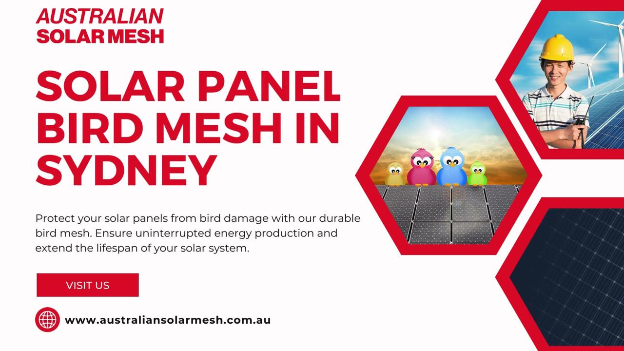 Keep Birds Away: Solar Panel Bird Mesh in Sydney