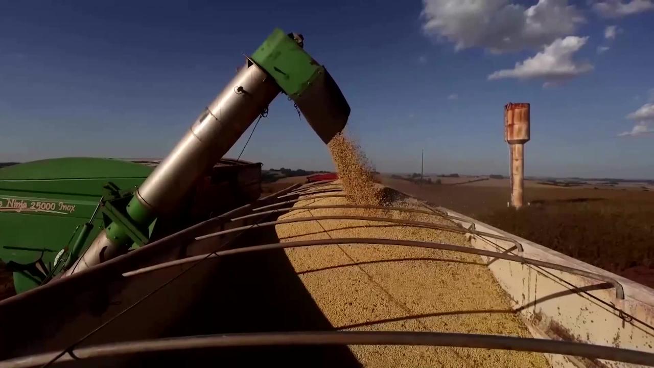 Southern Brazil restoring soybean production