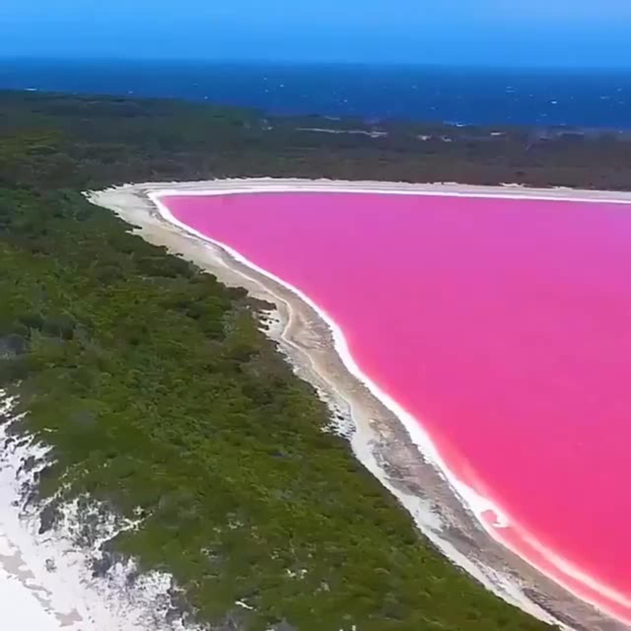 Lake Hillier a.k.a "Pink Lake", Middle Island, Australia.