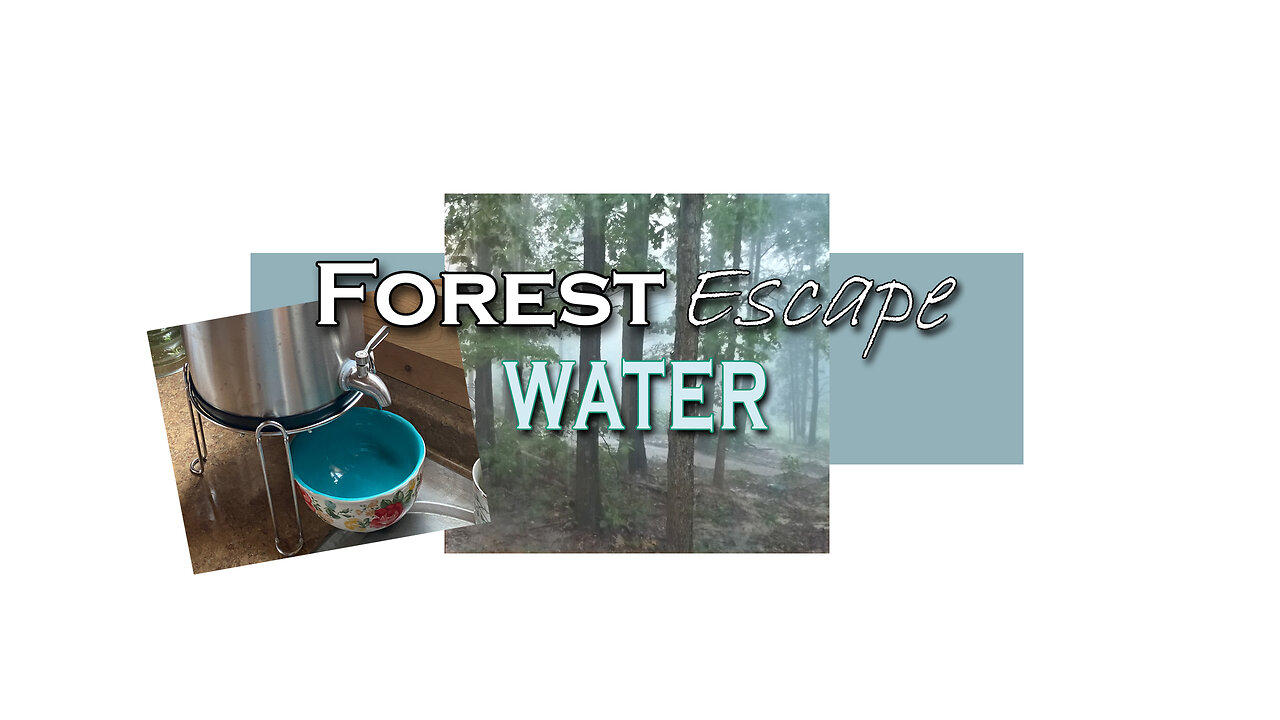 Forest Escape Water Sources, Treatment, Storage and Filtration