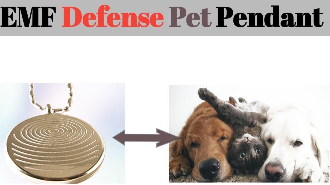 Guardians of Harmony Elevate Your Pet's Well Being with the EMF Defense Pet Pendant!