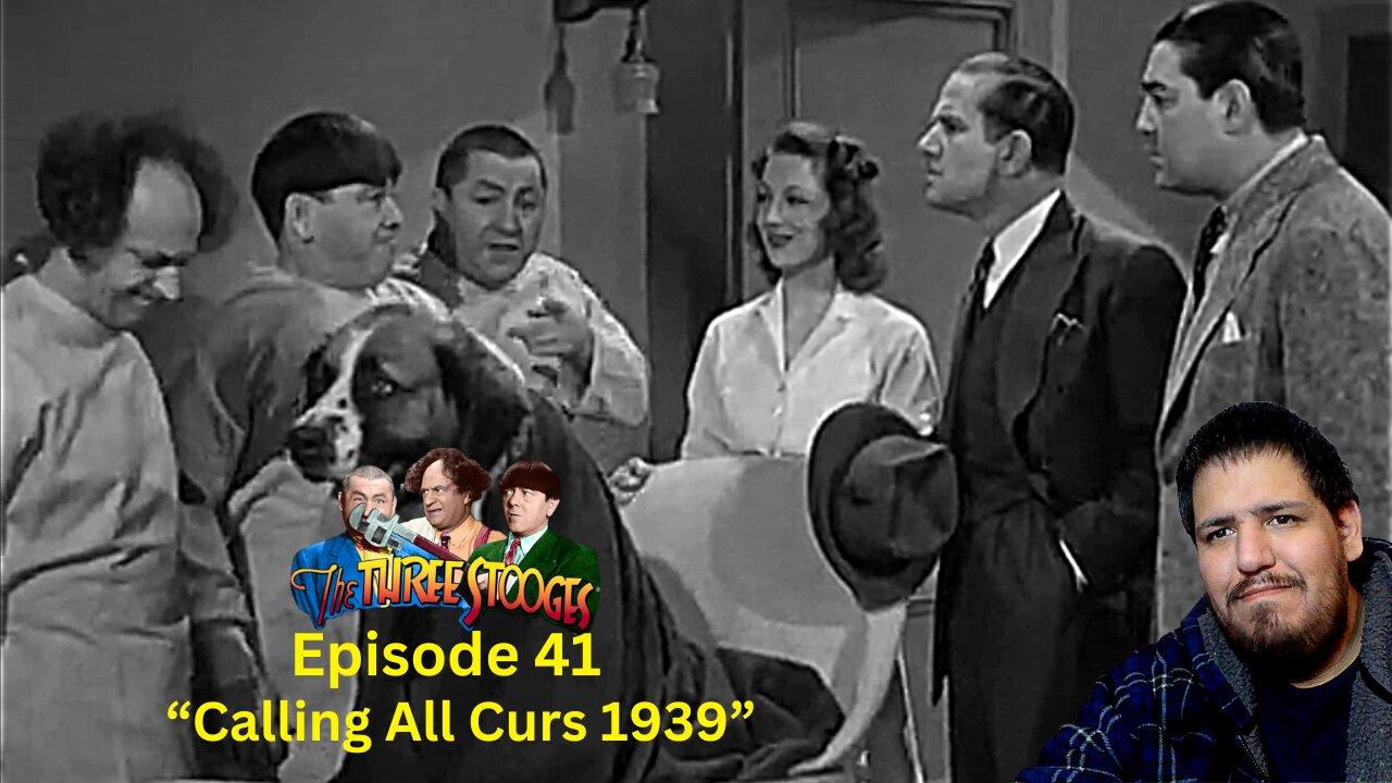 The Three Stooges | Calling All Curs 1939 | Episode 41 | Reaction