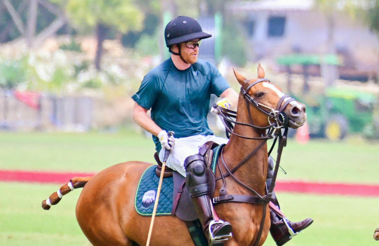 Prince Harry's best friend wants their children to play polo together in the future
