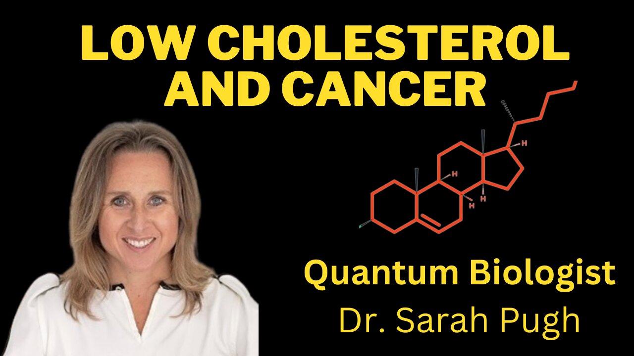 Why you don't mess with cholesterol in under 4 minutes Dr. Sarah Pugh