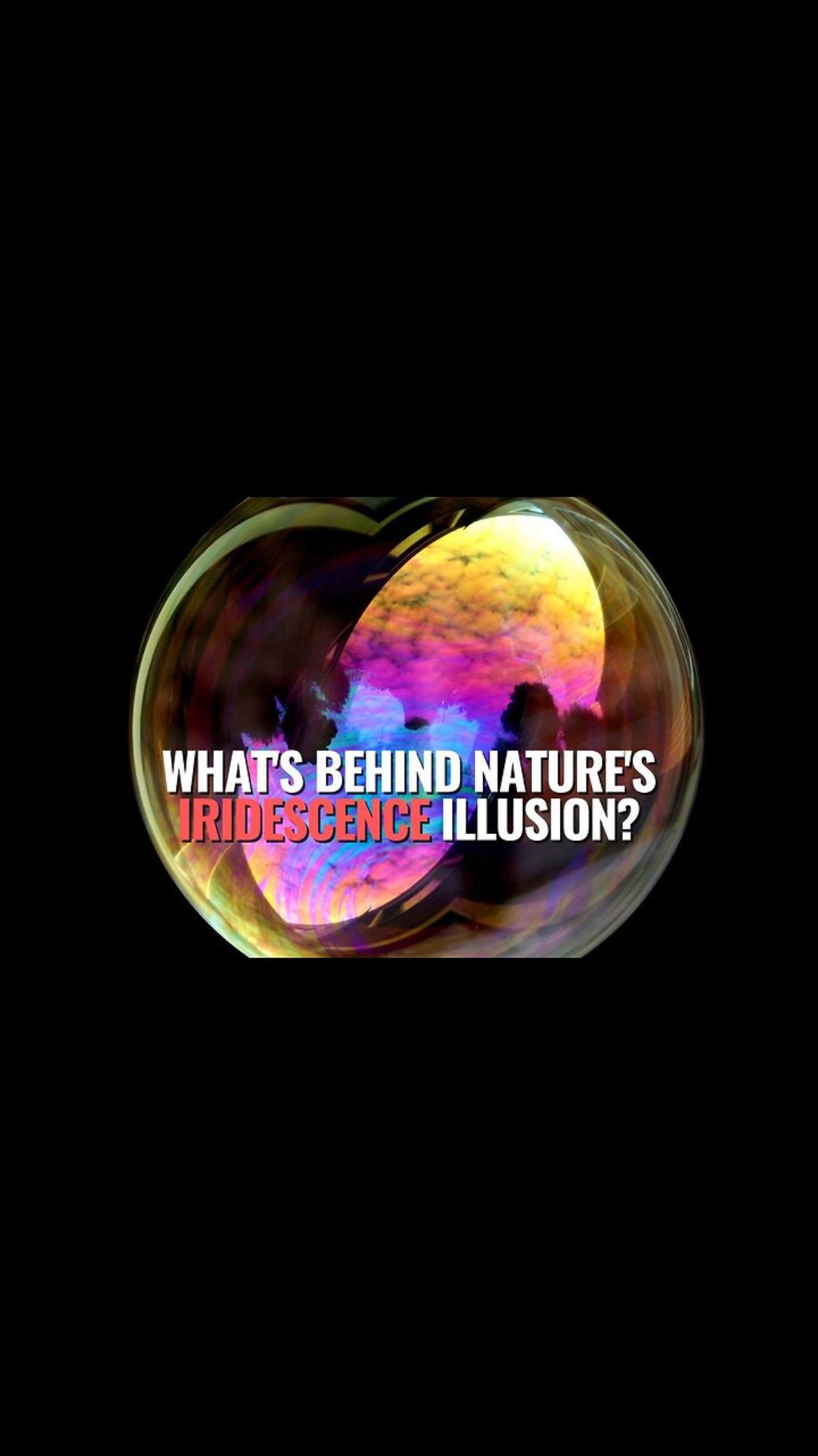 What's Behind Nature's Iridescence Illusion?