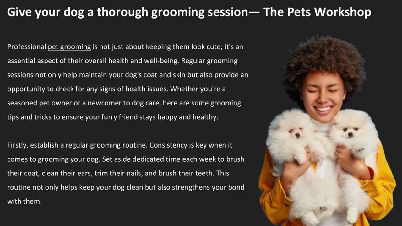 Give your dog a thorough grooming session — The Pets Workshop
