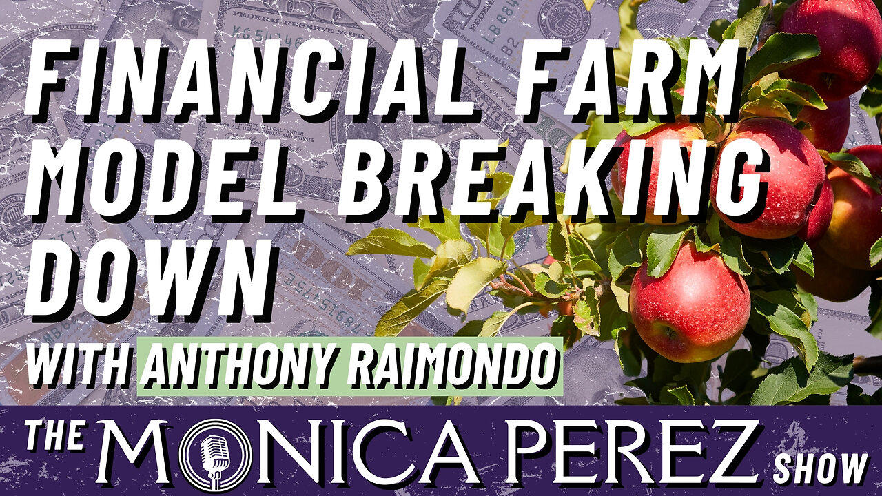 FINANCIAL FARM MODEL BREAKING DOWN: Anthony Raimondo explains